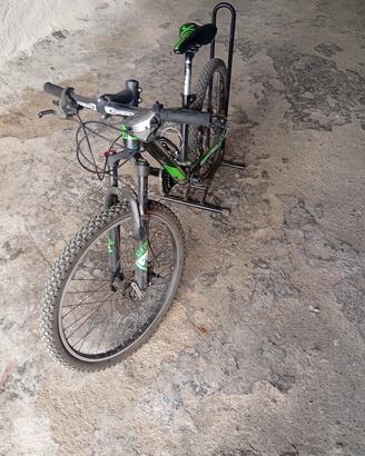 bicicletta