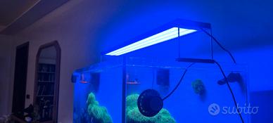 Chihiros WRGB II 10th Edition 90 cm