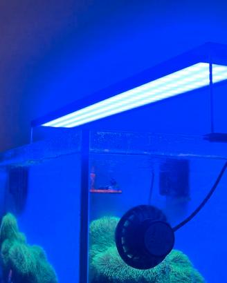 Chihiros WRGB II 10th Edition 90 cm