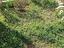 Immagine 13