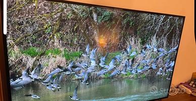 Smart Tv Samsung 55 pollici 4 k perfetto