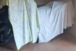 T-max 560------2023----