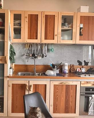 Cucina lineare