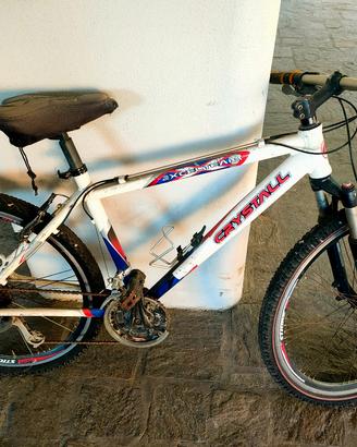 bicicletta mountain bike 26"