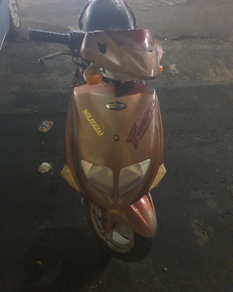 Pgo t-rex