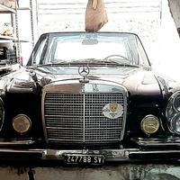 Due Stupende Mercedes. Targa oro ASI