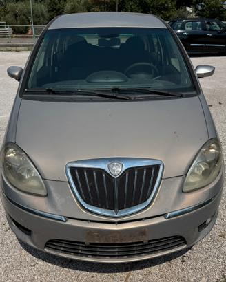 Lancia musa