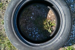 Gomme Pirelli Scorpion verde 215/60 R17 96H