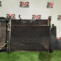 KIT RADIATORI RENAULT Kangoo 3Â° Serie diesel 1461