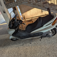 Majesty 250