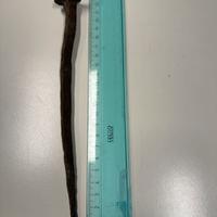 Antico chiodo forgiato a mano 21 cm ferro battuto