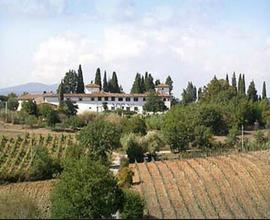 Vigneti - 30 ha DOCG Firenze