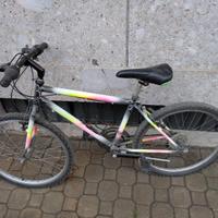 Bicicletta ragazzo, ruote 24"