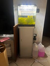 Acquario nanotank per pesci tropicali