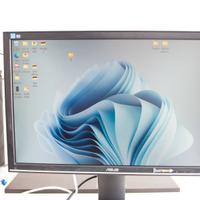 monitor asus