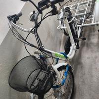 Triciclo elettrico per adulti pedalata assistita