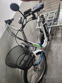 Triciclo elettrico per adulti pedalata assistita