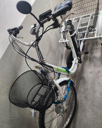 Triciclo elettrico per adulti pedalata assistita
