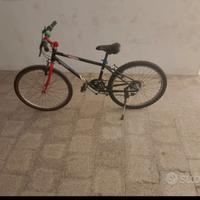 Mountain bike tosta e instancabile 