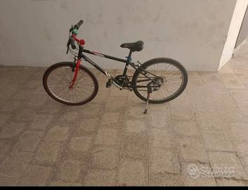 Mountain bike tosta e instancabile 