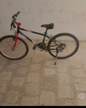 Mountain bike tosta e instancabile 