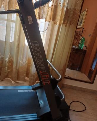 Tapirulan everfit
