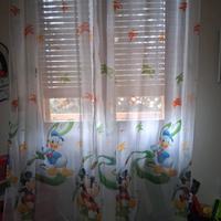 Coppia di tende caleffi