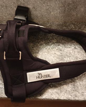 Pettorina cane