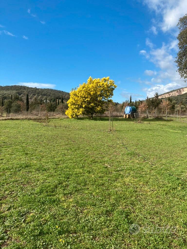 Terreno Agricolo 1,3Ha con attrezzatura - Grosseto - Vista 3