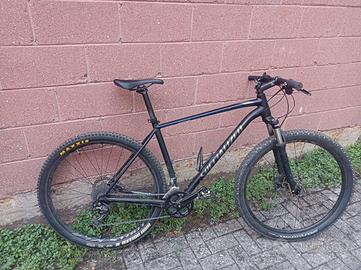 Bicicletta Mountain Bike Specialized Rockhopper 29