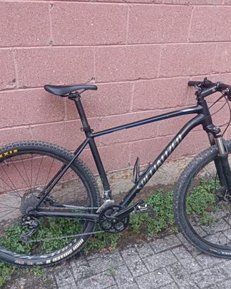 Bicicletta Mountain Bike Specialized Rockhopper 29