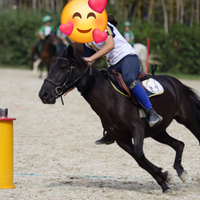 Pony sportivo ponygames