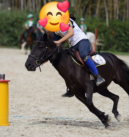 Pony sportivo ponygames