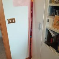 Canna bolognese Red Devil 8m