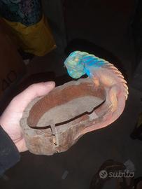Iguane Legno