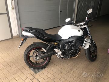 Moto fz6