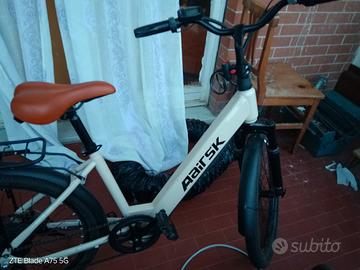 bici elettrica 