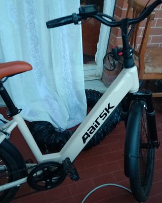 bici elettrica 