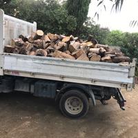 Legna da ardere 3895882723