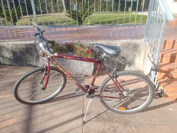 bicicletta MTB esperia 