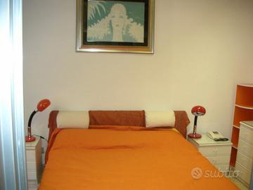 Piazza Bologna per studentessa/e fuorisede