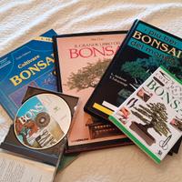 libri e cd bonsai