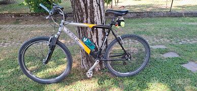 mtb marca rebellato