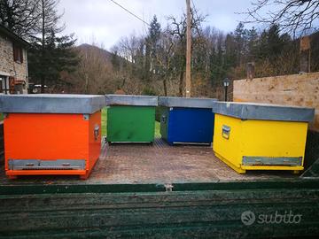 Arnie per apicoltura