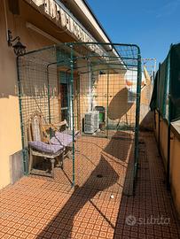 Recinto per gatti