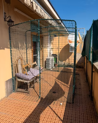 Recinto per gatti