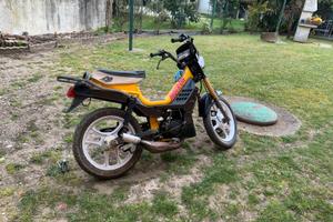 Motron GTO3 1989