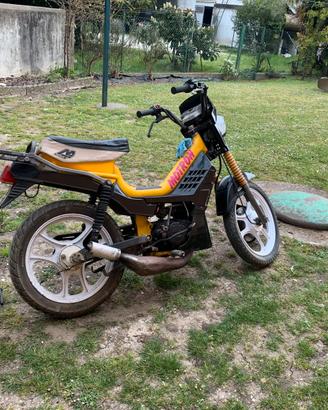 Motron GTO3 1989
