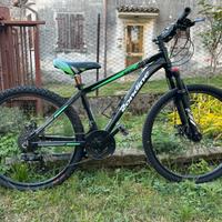 Bicicletta ragazzo 10-12 anni