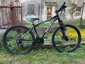 Bicicletta ragazzo 10-12 anni